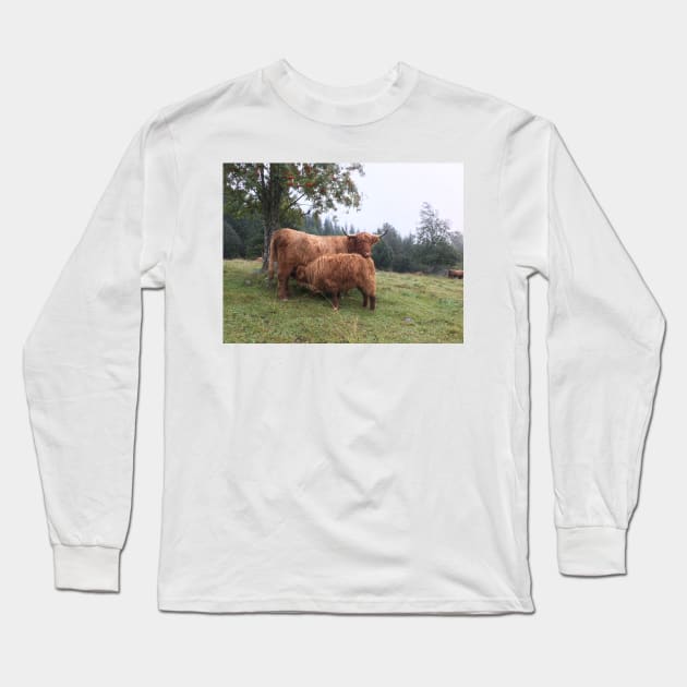 Scottish Highland Cattle Cow and Calf 1534 Long Sleeve T-Shirt by SaarelaHighland